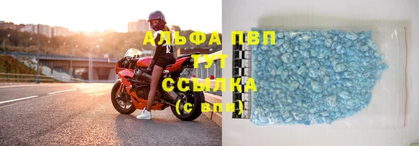 spice Бородино