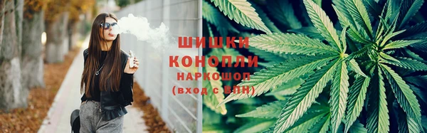 spice Бородино