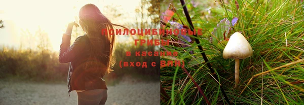 спиды Бугульма