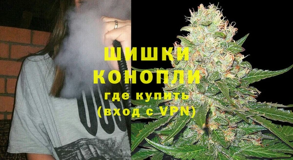 spice Бородино