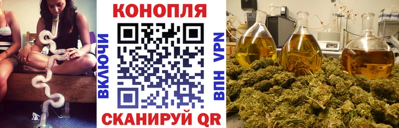 Шишки марихуана сатива Орехово-Зуево